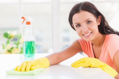 Professional one-off cleaning for a home in Ealing