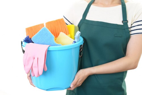 Secure payment gateway for Ealing Cleaner