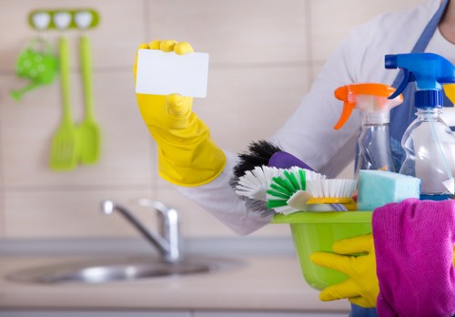 Accessible cleaning website support for Ealing Cleaner