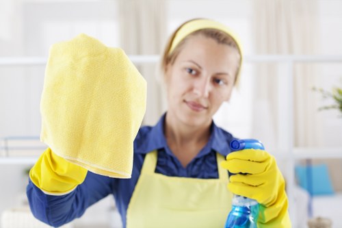 Professional curtain cleaning service for homes in Ealing