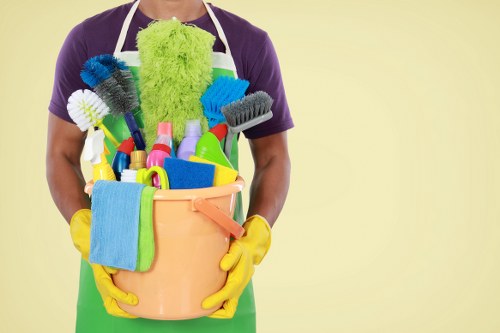 Steam cleaning process for carpets in a West London flat