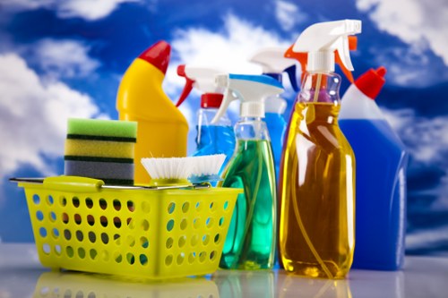 Local cleaners working in an Ealing flat with access challenges