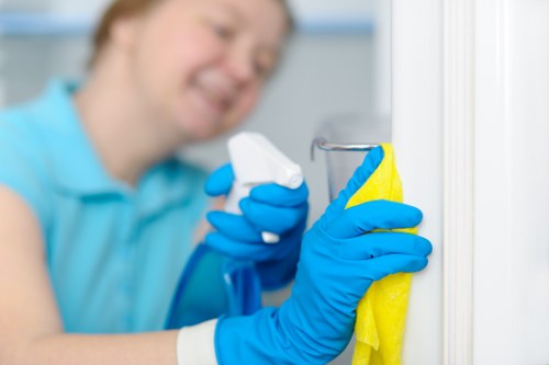 Professional Ealing cleaner working in a tidy modern home