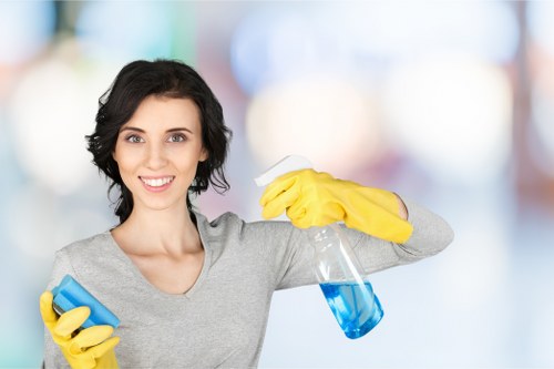 Deep cleaning tasks for kitchens and bathrooms in Ealing