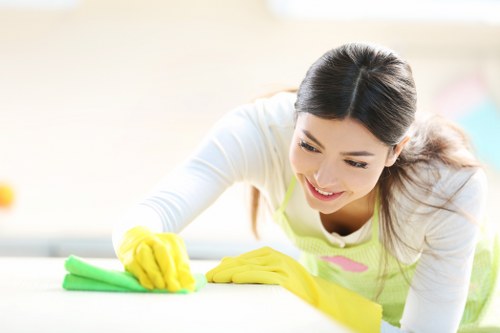 Regular domestic cleaning visit in an Ealing residential property