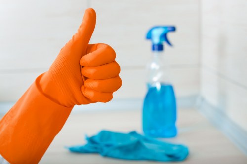 Local window cleaning service for flats and terraces in Ealing
