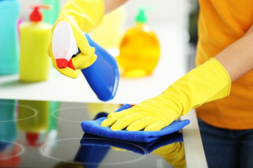 Cleaner maintaining a tidy living room in Ealing