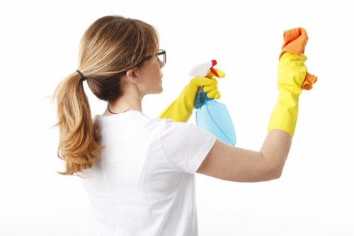 Local upholstery odour removal service for pet accidents in Ealing