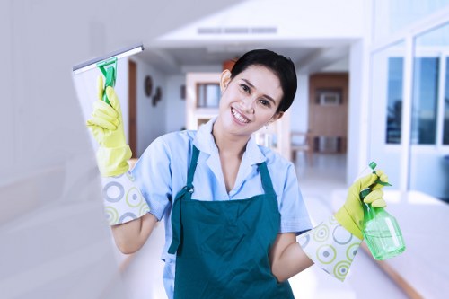 Mattress cleaning for flats, homes, and rentals in Ealing