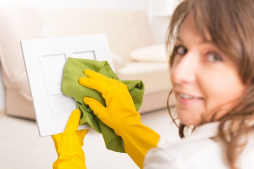 Weekly cleaning tasks in a modern Ealing apartment kitchen