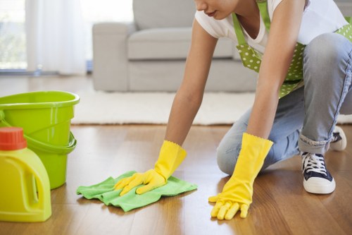 Expert stain removal visit for a West London home in Ealing